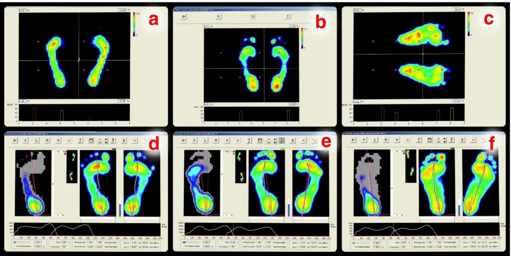 276_2025_3762_Fig9_HTML